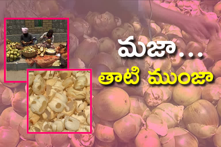 Demand for Borassus flabellifer fruit in nizamabad