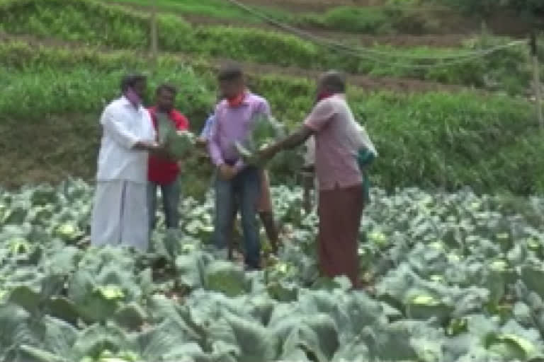 ഇടുക്കി  idukki  പച്ചക്കറികളൾ സംഭാവന ചെയ്ത്  farmers  ellappettty  4 farmers  contributed  മുഖ്യമന്ത്രിയുടെ ദുരിതാശ്വാസ നിധി  chief minister's relief fund