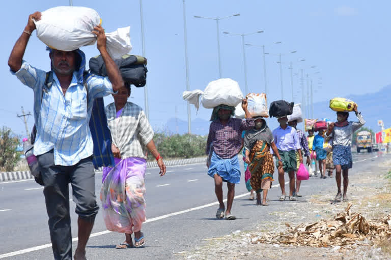 आठ करोड़ प्रवासी मजदूरों को जुलाई तक मुफ्त अनाज: वित्तमंत्री