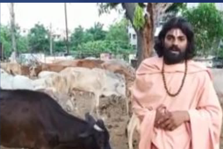 no fodder to cows in gnaananda ashram in vizag