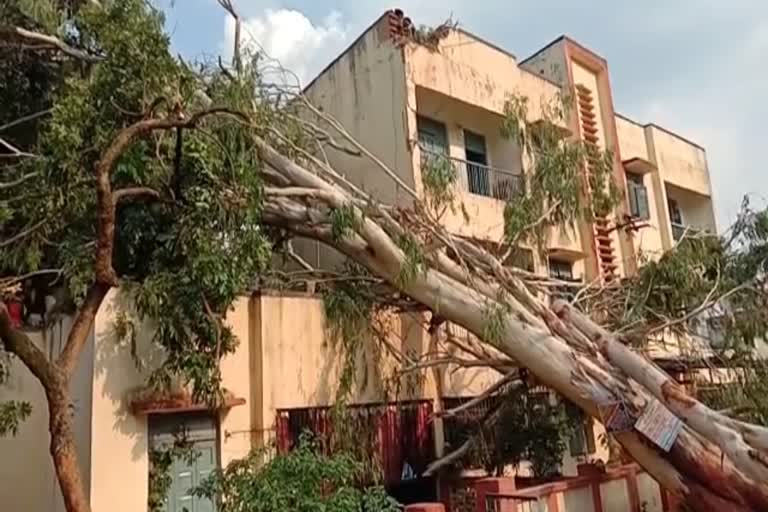 Heavy storm and rain caused Destruction in Ranchi