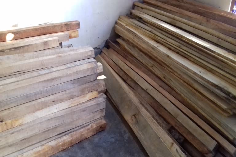 Illegal timber seized in Darrang