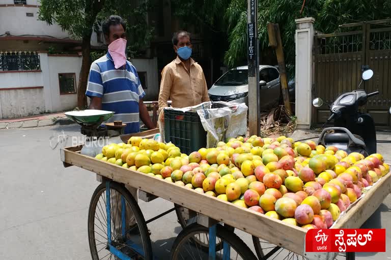 Lockdown effect on mango fruit