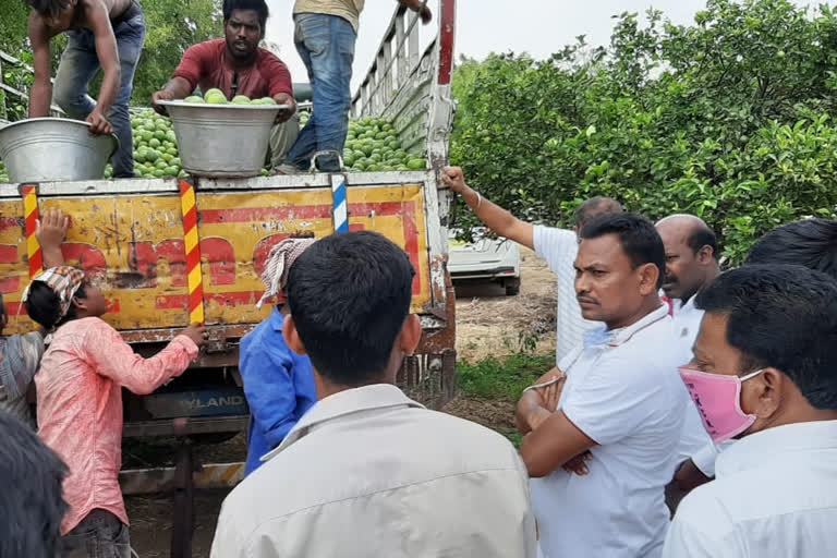 mla rega kantharao purchase oranges for distribution in constituency