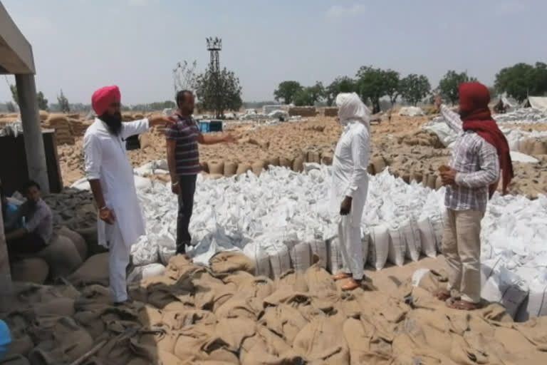 more than one lakh and eighty thousand wheat has been procured in Punjab