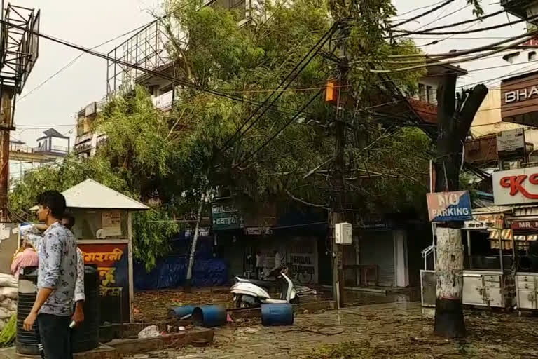 Tree fell on shops