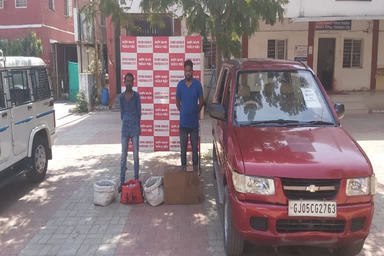 fake-hospital-board-affixed-to-car-in-vadodara-two-bootleggers-caught-speeding