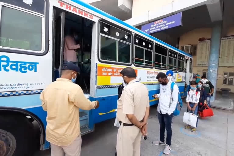 Special bus service start from Sirsa to Panchkula