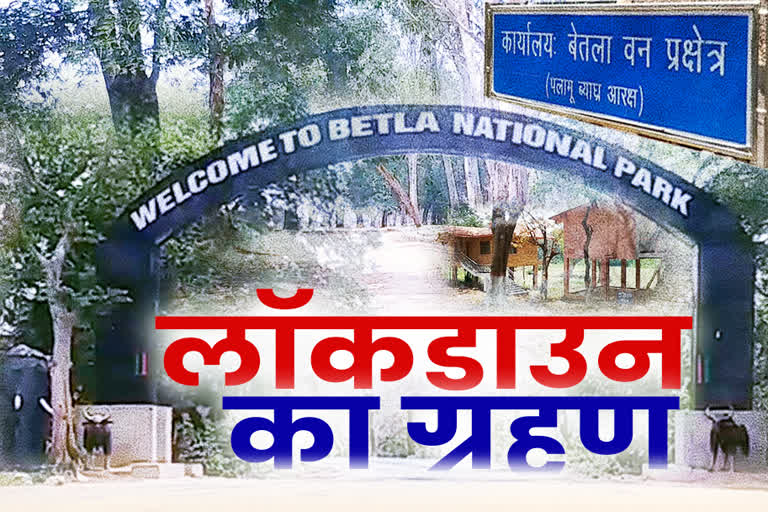 Betla National Park