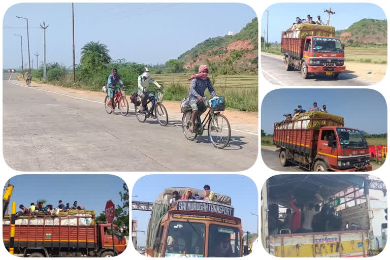 Migrant laborers   appeared while going to their home in ichhapuram  highway