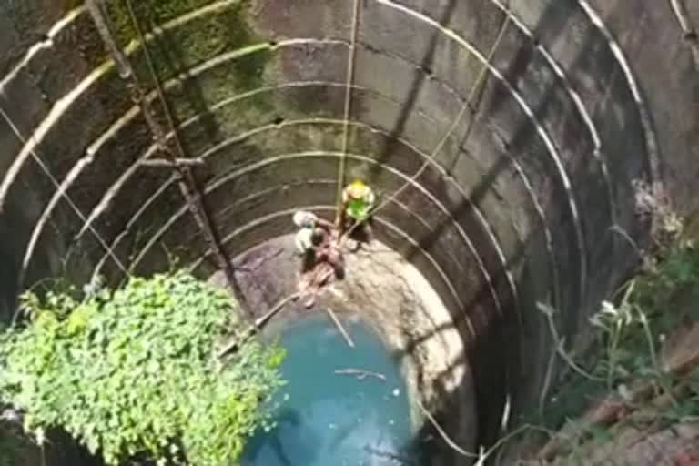 புதுக்கோட்டை அருகே கிணற்றில் விழுந்து இளம்பெண் உயிரிழப்பு!