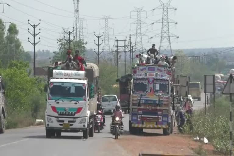 Migrant laborers returning home after filling in trucks