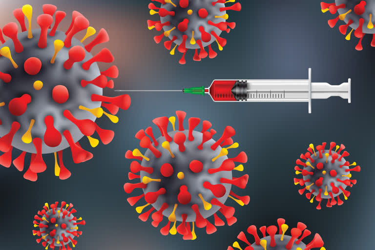 COVID-19 vaccine test on monkeys shows promise