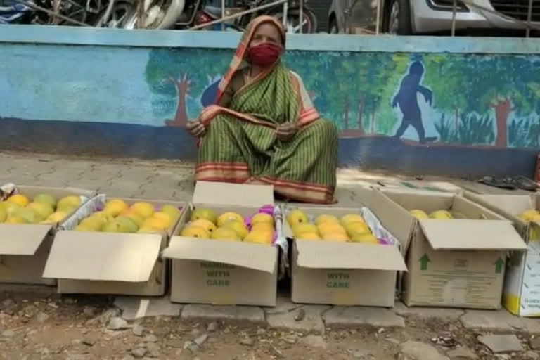 ಮಾವಿನ ಹಣ್ಣಿನ ವ್ಯಾಪಾರ ತೀವ್ರ ಕುಸಿತ