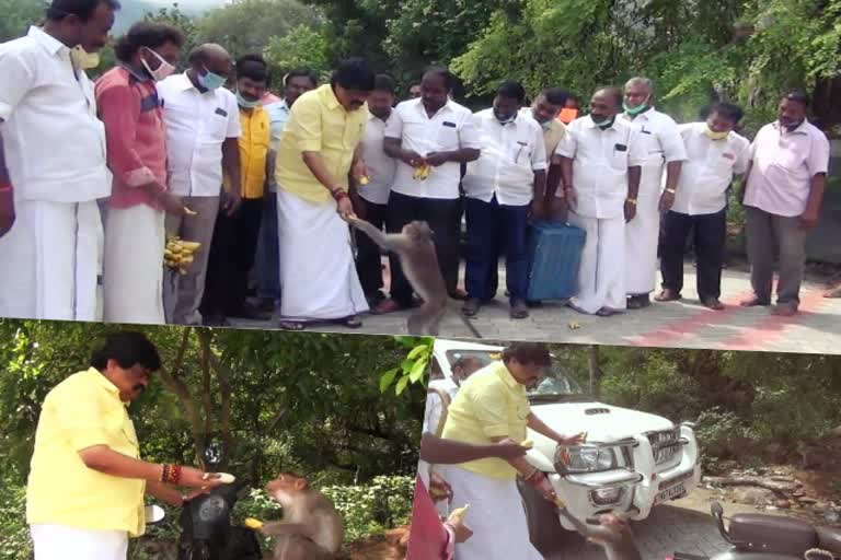 minister rajendra balaji gives food for monkeys in ayyanar temple