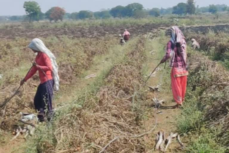 farmer activist manik kadam