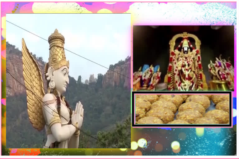 laddu sales at tirumala