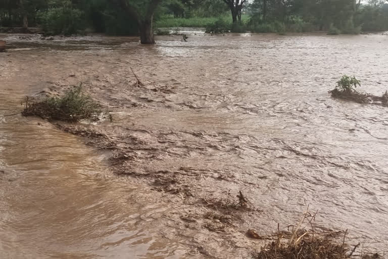 Rain water over flowed to agricultural land in Belagavi