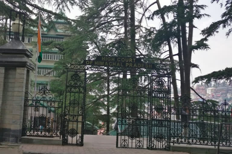 Shimla bar association elections cancelled