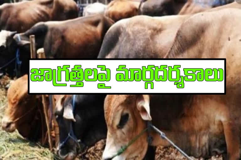 ap govt  green signal for fishing and animal husbandry activities in state