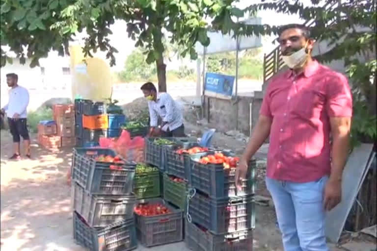 Kudachi MLA Distributed Free vegetables