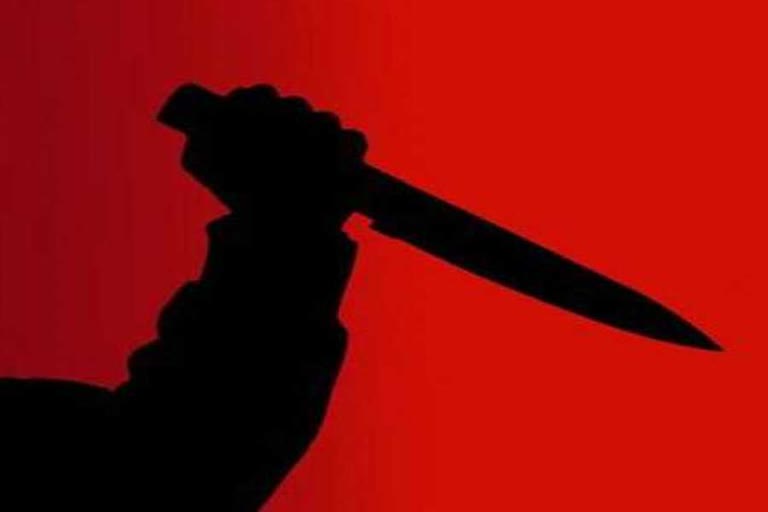 husband murdered his wife in rewari