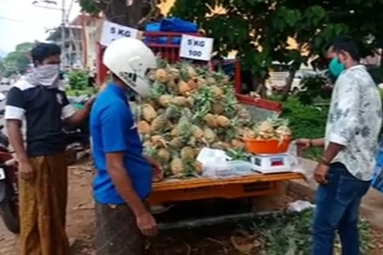 pineapple-market-in difficult-period  പൈനാപ്പിളിന് വിലയില്ല  പൈനാപ്പിള്‍ വിലയിടിവ്  pineapple  pineapple-market