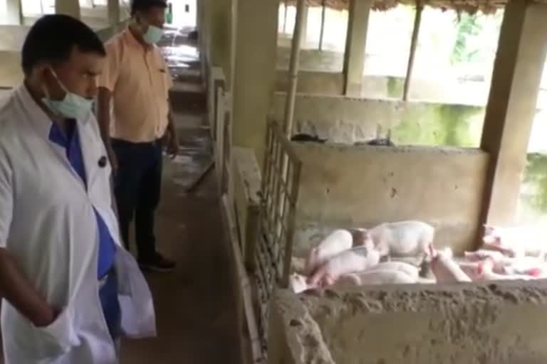 pig-farm-sensitization-in-sarupathar