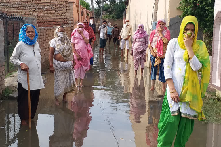 sewerage overflow in gohana's shiv colony