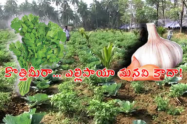 food crops details  in telangana