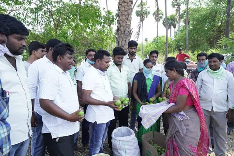 Telangana Government Whip Rega Kantha Rao Distributes Bttai Fruits to Poor peoples in Bhadradri district