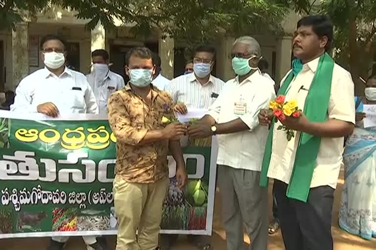 lock down effect on west godavari farmers