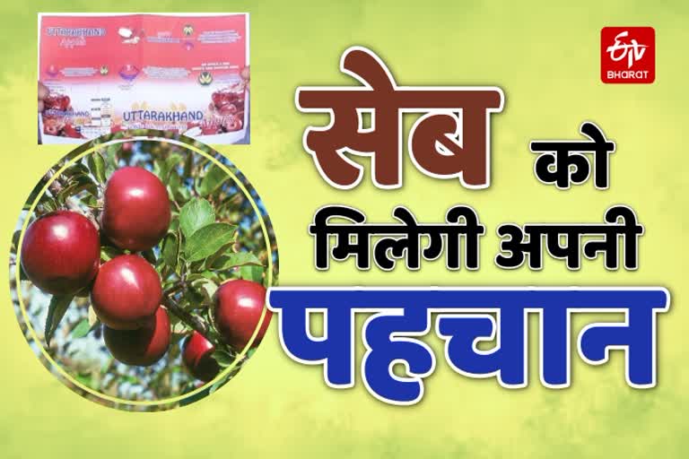 Uttarakhand apple news