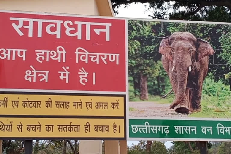 A group of 15 to17 elephants seen in Pratappur