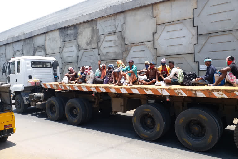 migrants travelling to kolkata in national highway by lorries captured by et bharat at bhogapuram