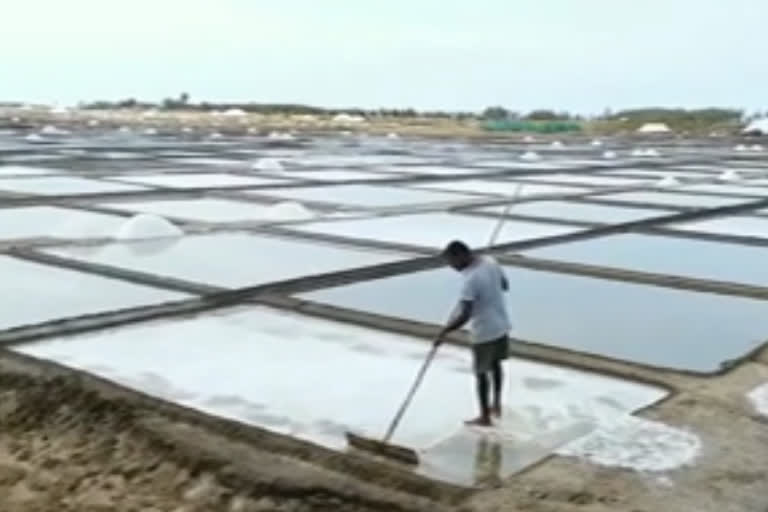 salt farmers suffering from lock down