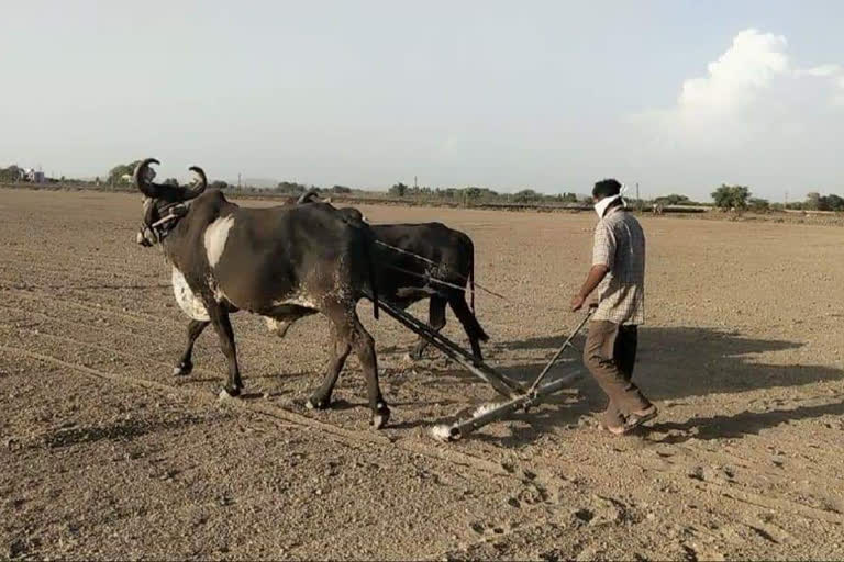 કુતિયાણાના માલ ગામનાં લોકો બન્યા કોરોના વોરિયર્સ