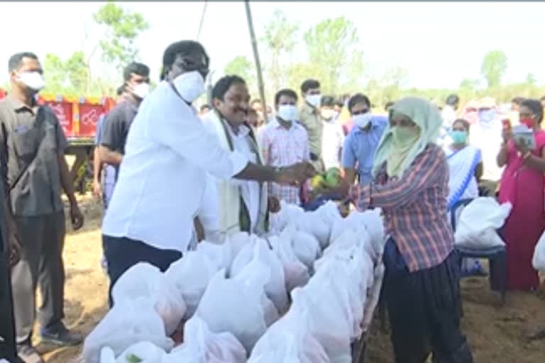 Minister Puvada Ajay kumar Distribute in Battai Fruits in Khamamm district