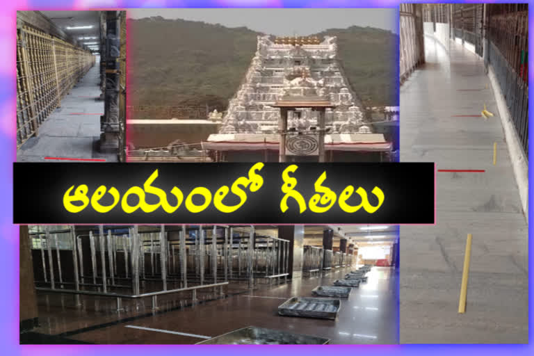 Stripes at Srivari Temple for distance  in tirumala