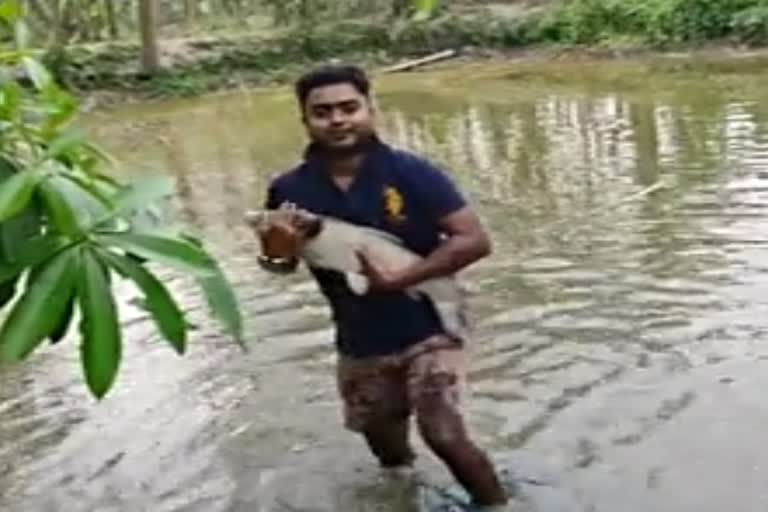 youth farmer of nalbari