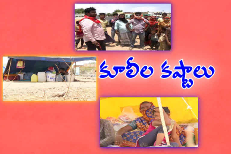 Migrant laborers problems at kadapa