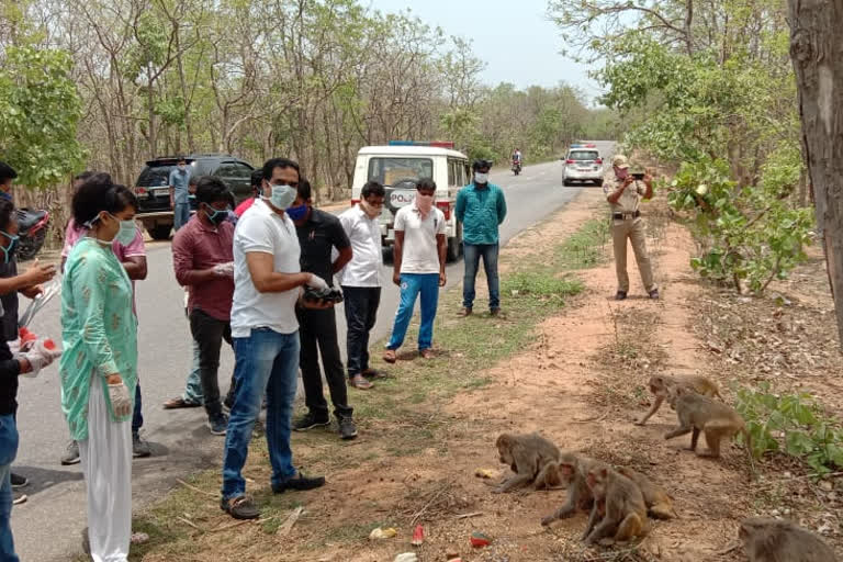 Siricilla SP Rahul Hedhe Distributes food for Monkeys