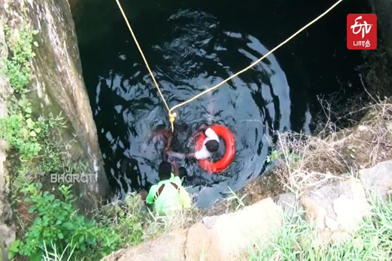 Water Death  விருதுநகரில் கிணற்றில் விழுந்து இருவர் உயிரிழப்பு  கிணற்றில் விழுந்து இருவர் உயிரிழப்பு  விருதுநகரில் நீரில் மூழ்கி இருவர் உயிரிழப்பு  Two killed after falling into well in Virudhunagar  Two die in a well  Two people drowned in Virudhunagar