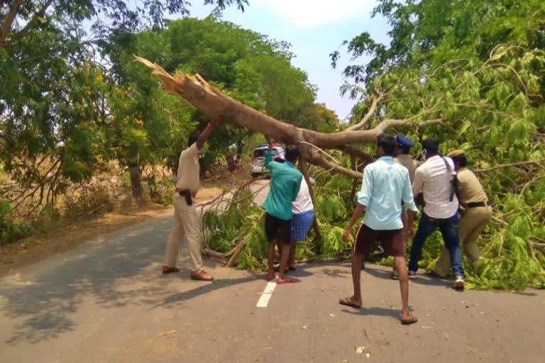 SI remove trees on road at jayashankar bhupalapally district