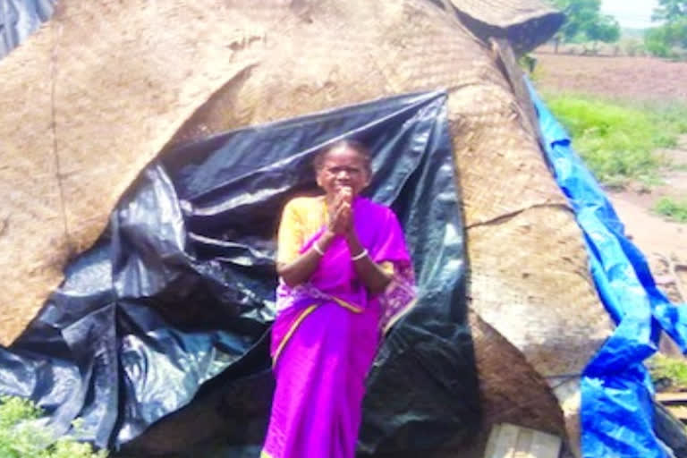 Grandmother stretching her arms for Pention In Siddipeta