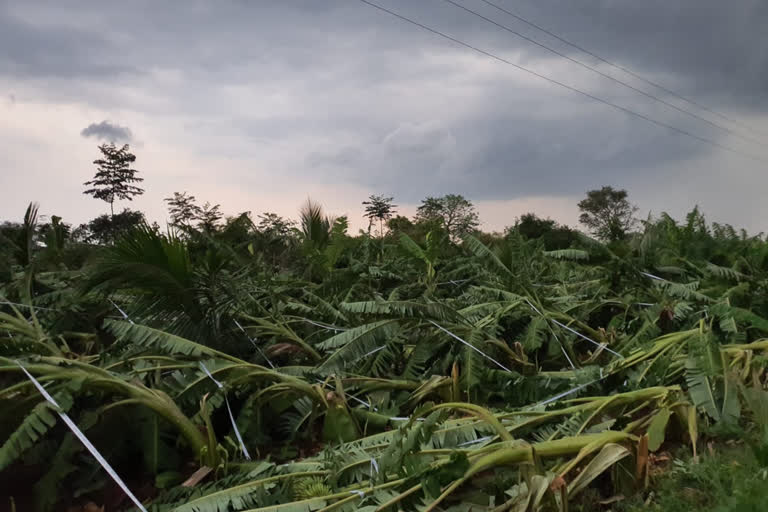 Heavy Rain in Ramanagara