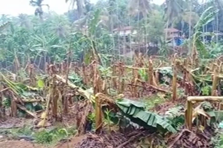 rain update news malappuram district  വേനല്‍ മഴ വാര്‍ത്തകള്‍  വേനല്‍ മഴ മലപ്പുറം  മലപ്പുറം വാര്‍ത്തകള്‍  മഴ നാശനഷ്ടം  rain updates  rain update news malappuram  malappuram district news