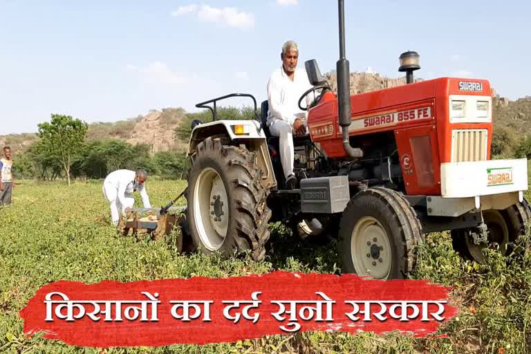 Tomato crop waste Bhiwani