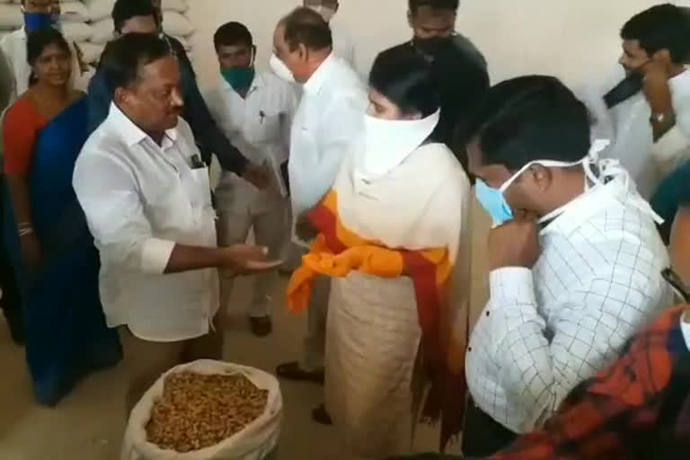 minister shankar narayana distributes groundnut seeds in bukkarayapalem