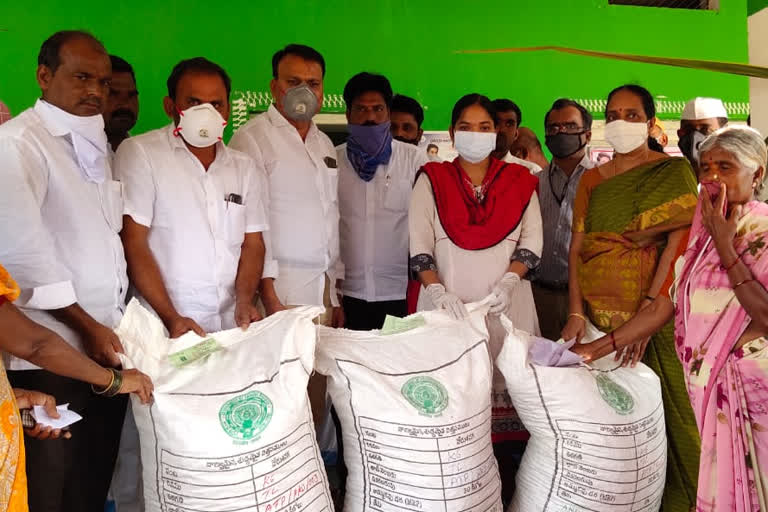 ground nuts seeds distribution